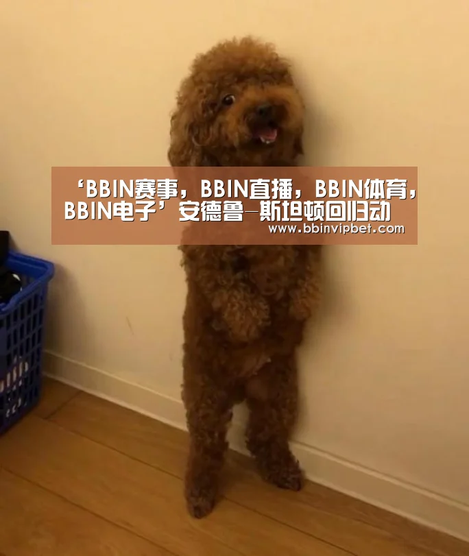 ‘BBIN赛事,BBIN直播,BBIN体育,BBIN电子’安德鲁-斯坦顿回归动画 操刀《海底总动员2》(图3) BBIN赛事,BBIN直播,BBIN体育,BBIN电子