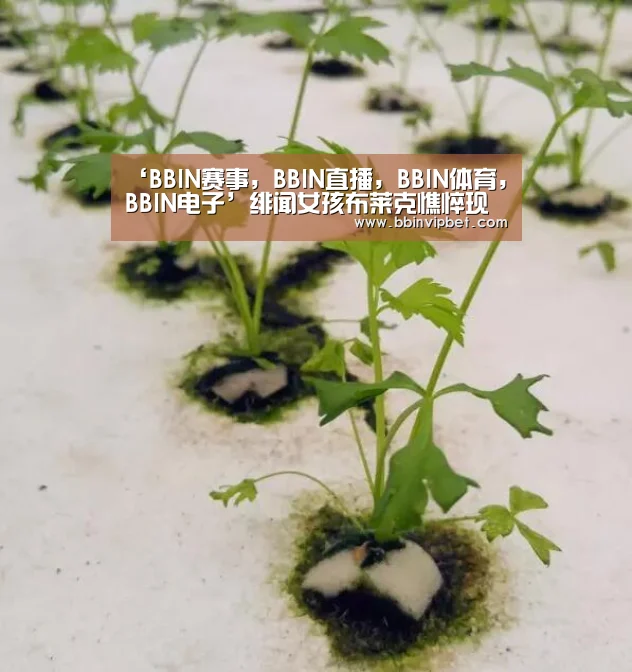 ‘BBIN赛事,BBIN直播,BBIN体育,BBIN电子’绯闻女孩布莱克憔悴现身 与莱昂纳多分手疯狂购物(图1) BBIN赛事,BBIN直播,BBIN体育,BBIN电子