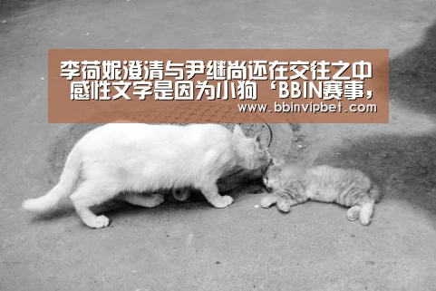 BBIN赛事，BBIN直播，BBIN体育，BBIN电子